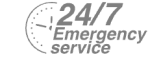 24/7 Emergency Service Pest Control in Collier Row, RM5. Call Now! 020 8166 9746