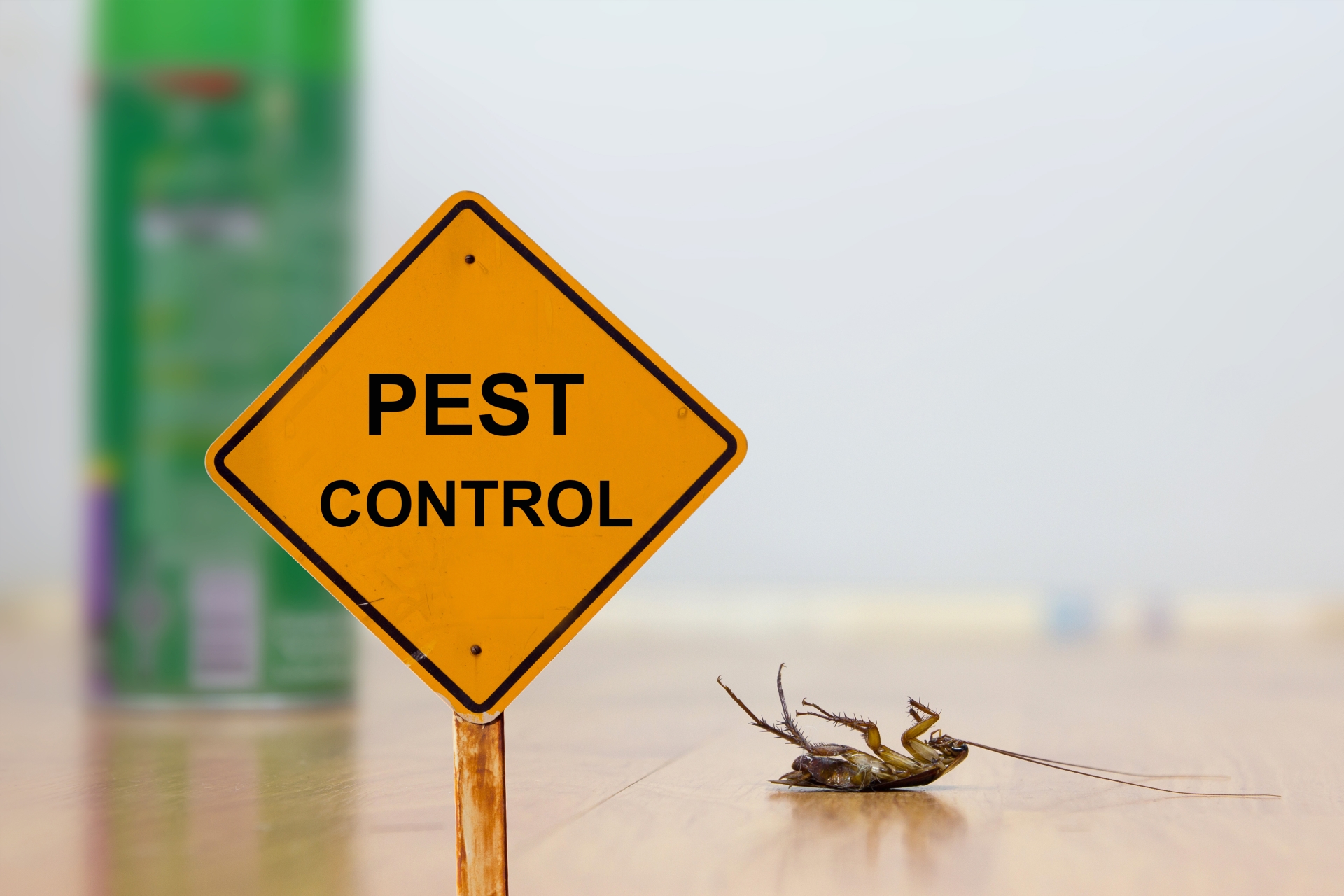 24 Hour Pest Control, Pest Control in Collier Row, RM5. Call Now 020 8166 9746